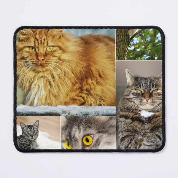 Item preview, Classical Cats Montage Set #1 designed and sold by Krispsm.