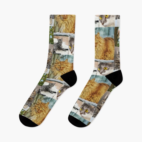 Item preview, Classical Cats Montage Set #1 designed and sold by Krispsm.