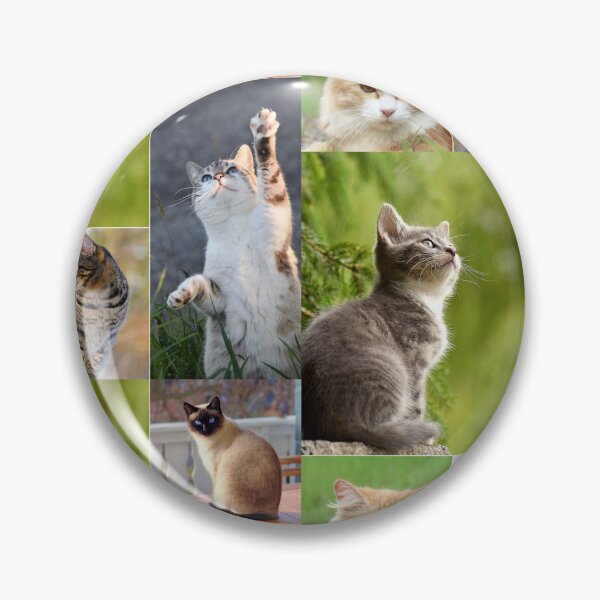 Item preview, Classical Cats Montage Set #2 designed and sold by Krispsm.