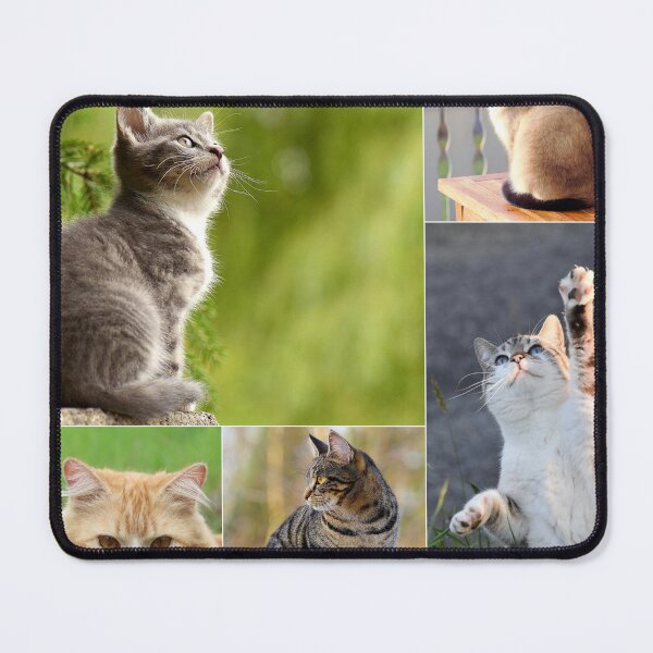 Item preview, Classical Cats Montage Set #2 designed and sold by Krispsm.