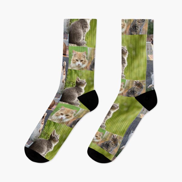 Item preview, Classical Cats Montage Set #2 designed and sold by Krispsm.