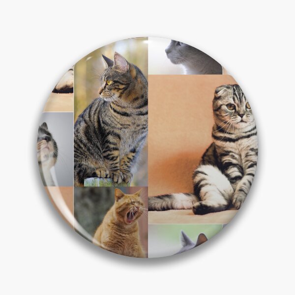 Item preview, Classical Cats Montage Set #3 designed and sold by Krispsm.