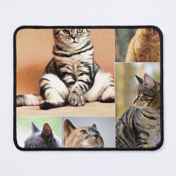Item preview, Classical Cats Montage Set #3 designed and sold by Krispsm.