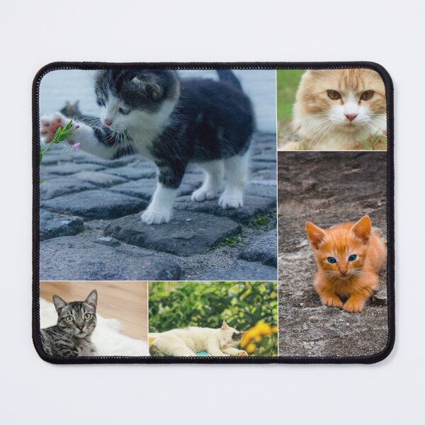 Item preview, Classical Cats Montage Set #4 designed and sold by Krispsm.