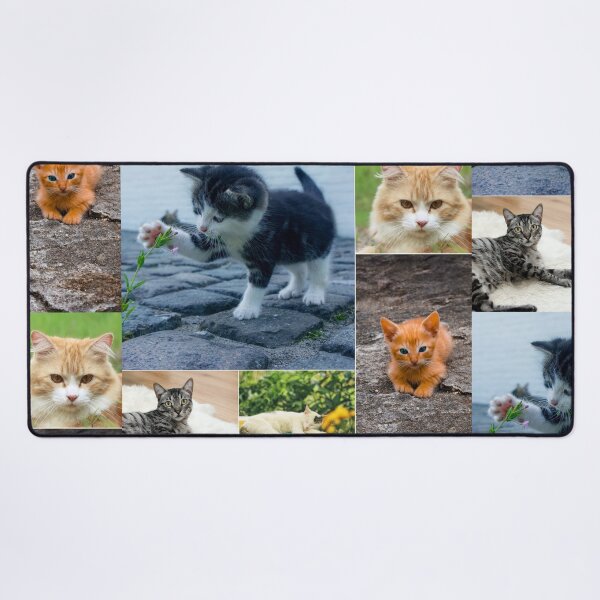 Item preview, Classical Cats Montage Set #4 designed and sold by Krispsm.