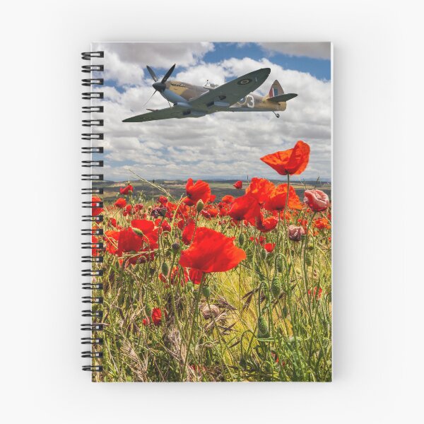 Artikelvorschau, Kampfflugzeug Spitfire, das über ein Mohnfeld fliegt entworfen und verkauft von Kevin Hellon.
