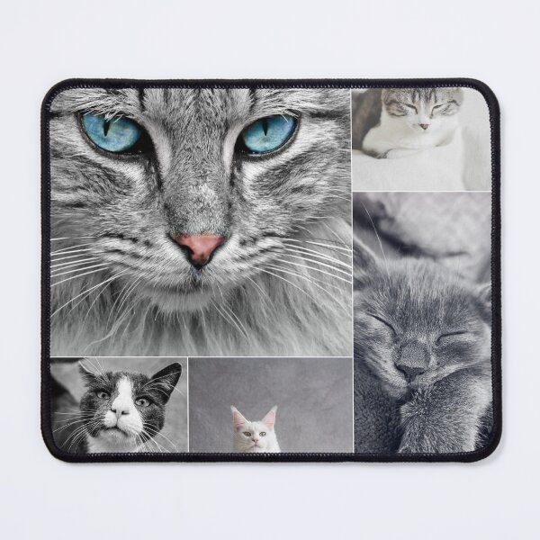 Item preview, Classical Cats Montage Set #5 designed and sold by Krispsm.
