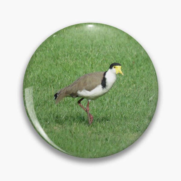Item preview, Spur winged plover designed and sold by greentiger1.