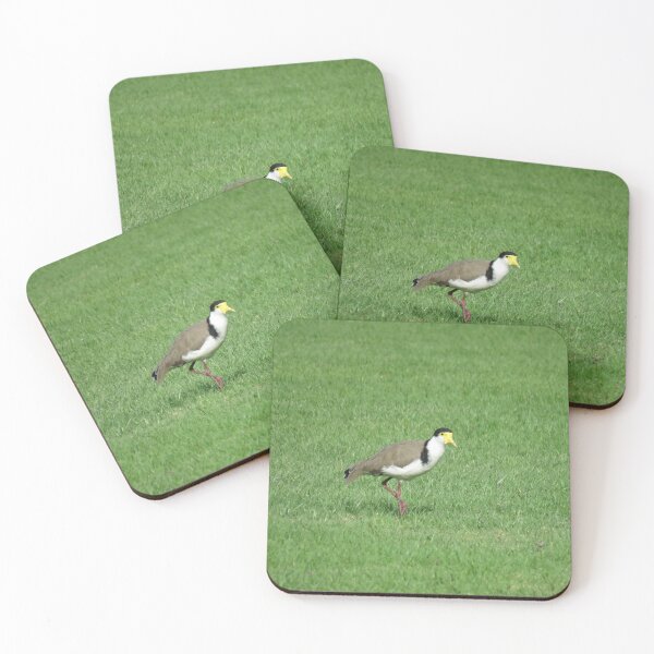 Item preview, Spur winged plover designed and sold by greentiger1.