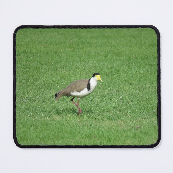 Item preview, Spur winged plover designed and sold by greentiger1.