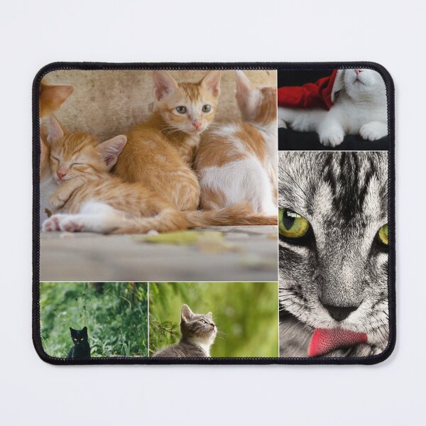 Item preview, Classical Cats Montage Set #6 designed and sold by Krispsm.