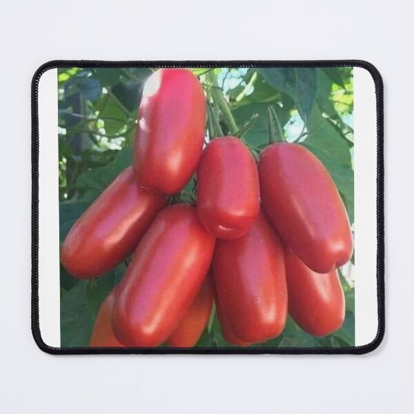 Item preview, Tomato designed and sold by Saiamrita123.