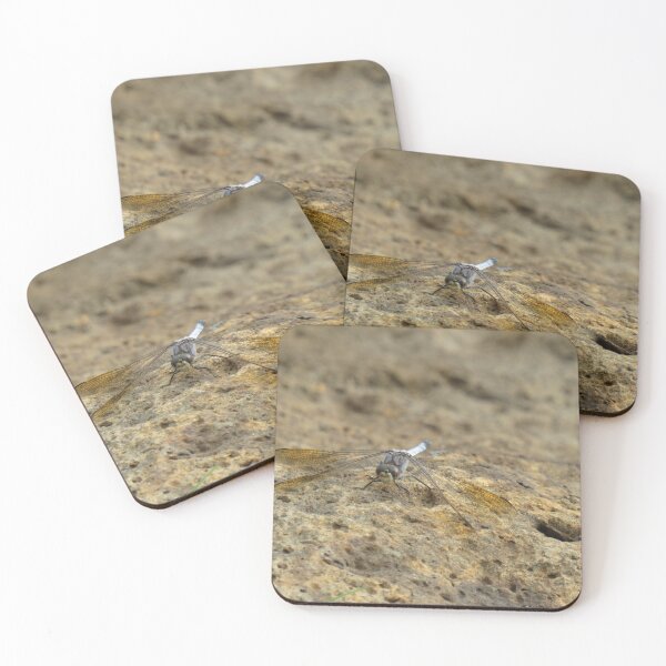 Item preview, Blue dragonfly on a rock designed and sold by greentiger1.