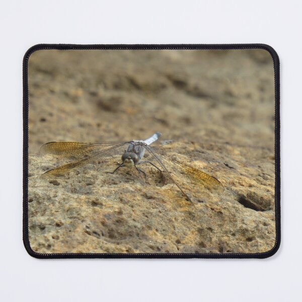 Item preview, Blue dragonfly on a rock designed and sold by greentiger1.