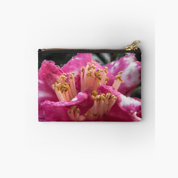 Item preview, Bold designed and sold by designingjudy.