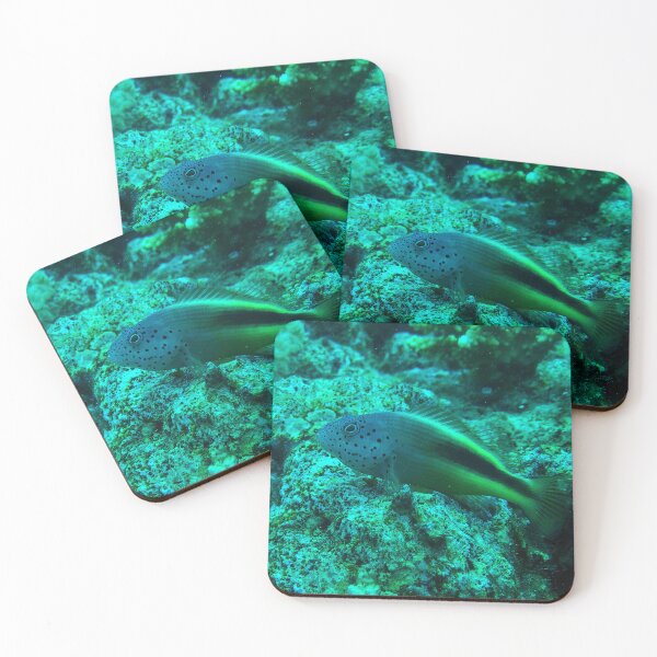 Item preview, Red Sea Freckled Hawkfish designed and sold by likbatonboot.