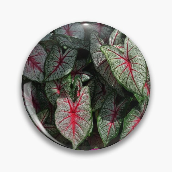 Item preview, Elephant ear leaves designed and sold by DynamiteNoodles.