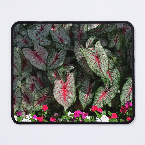 Item preview, Elephant ear leaves designed and sold by DynamiteNoodles.