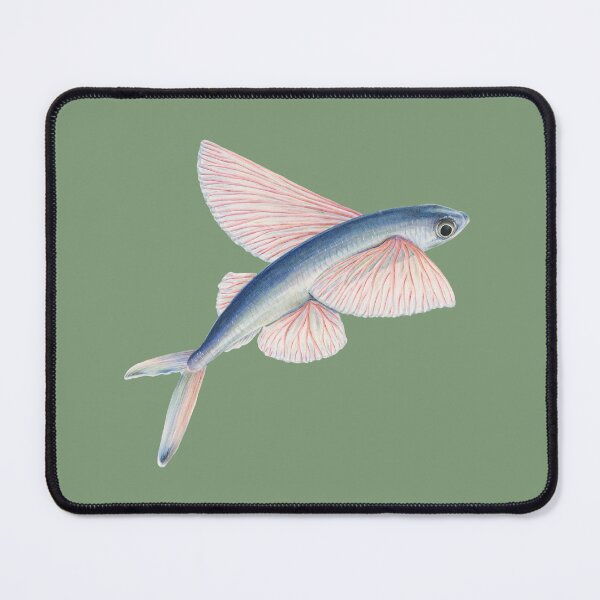 Item preview, Flying Fish designed and sold by Sami Bayly.