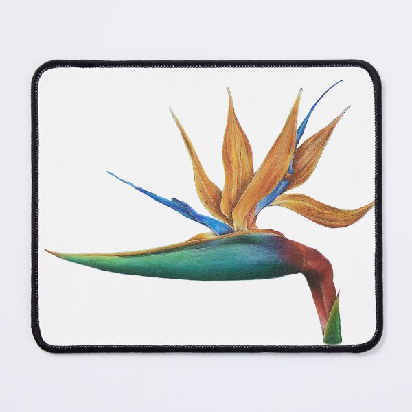 Item preview, Bird of Paradise designed and sold by Sami Bayly.