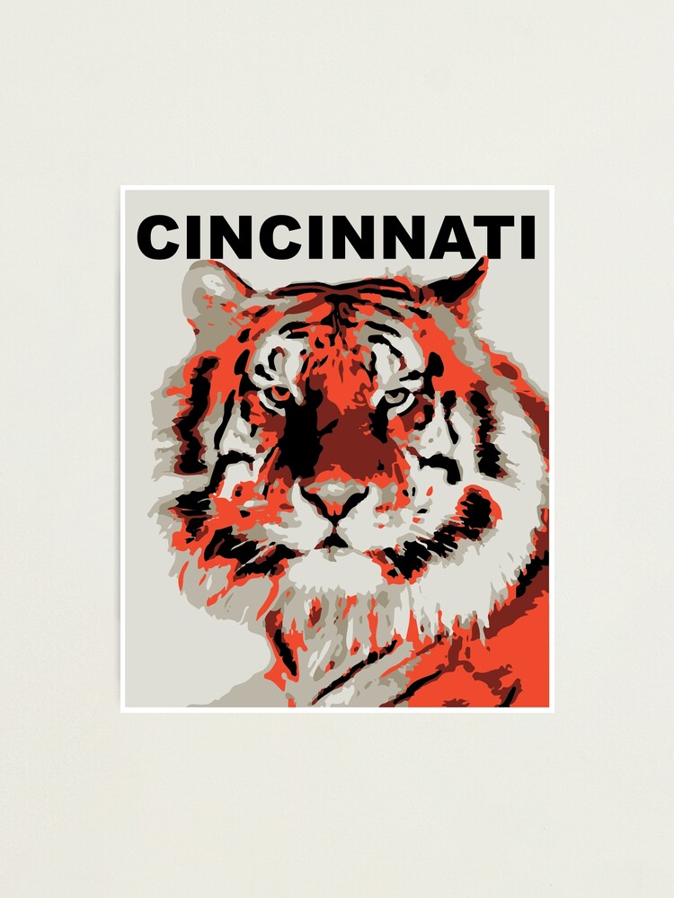 Roar, bengals, cincinnati, who dey, HD wallpaper