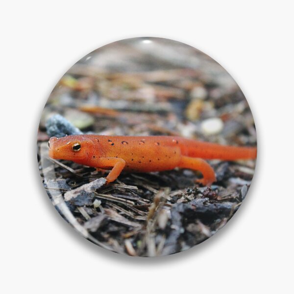Item preview, Little Salamander designed and sold by kbelle38.