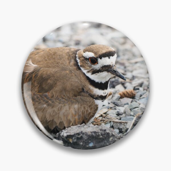 Item preview, Killdeer Bird Guarding Her Nest designed and sold by BackyardBirder.