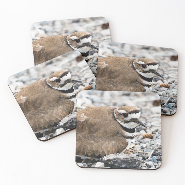 Item preview, Killdeer Bird Guarding Her Nest designed and sold by BackyardBirder.