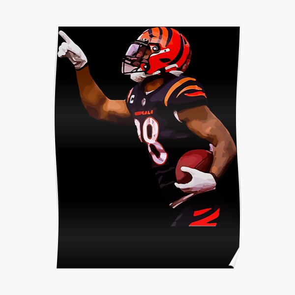 Joe BRRRRRRR wallpaper : r/bengals