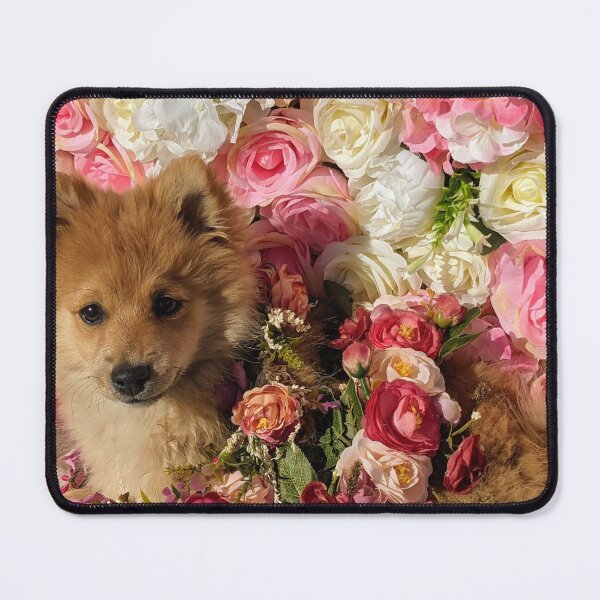 Item preview,  Pomeranian puppy Kai designed and sold by Fluffycat2020.