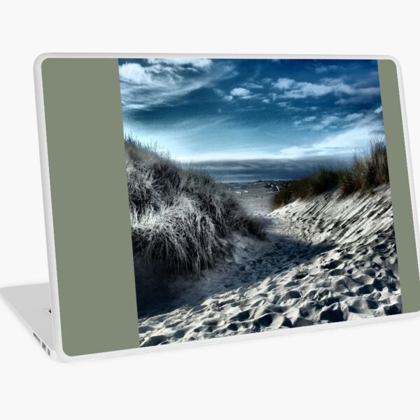 Day At The Beach Laptop Skin