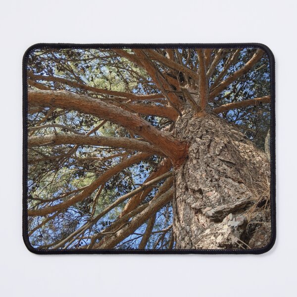 Item preview, Pining designed and sold by aeolia.