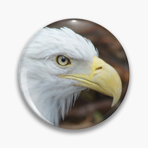 Item preview, American Bald Eagle Profile designed and sold by richardbryce.