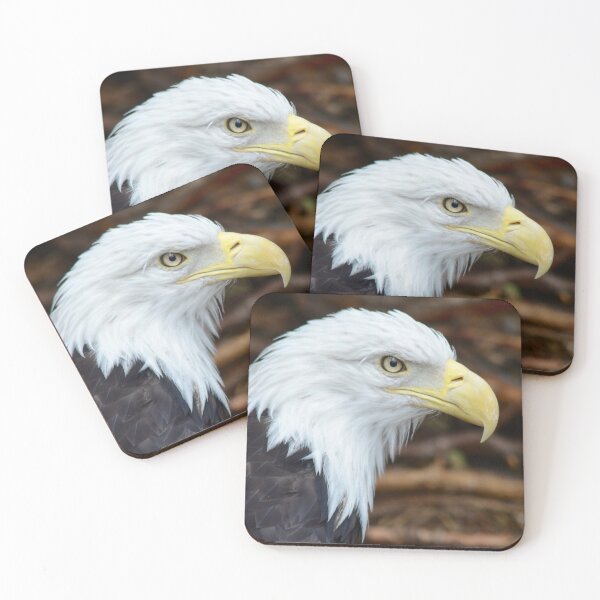 Item preview, American Bald Eagle Profile designed and sold by richardbryce.