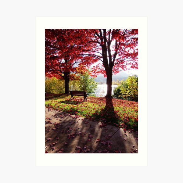 Bench With A View II Art Print