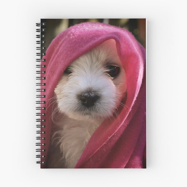 Item preview, Gypsy ~ Bichon designed and sold by laura-S.