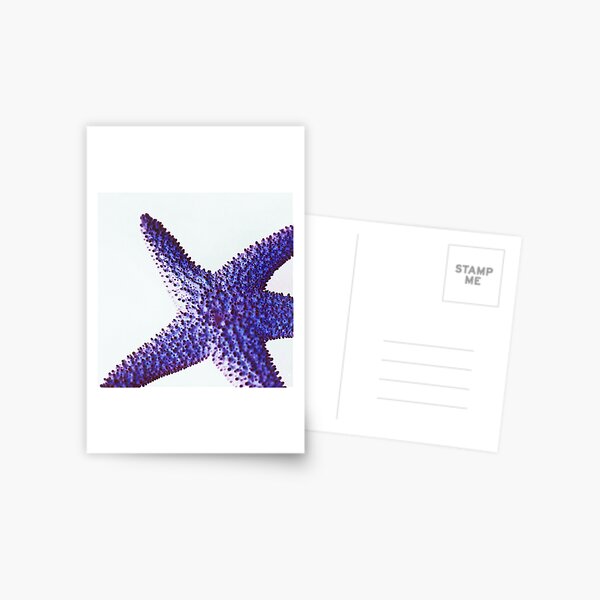 www.lizgarnett.com- starfish Postcard