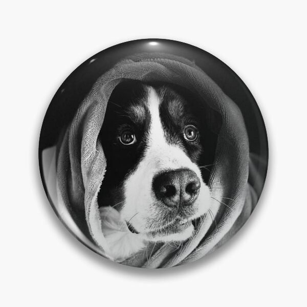 Item preview, This is what spoiled looks like.   Bernese Mountain Dog designed and sold by FlippinTurtles.