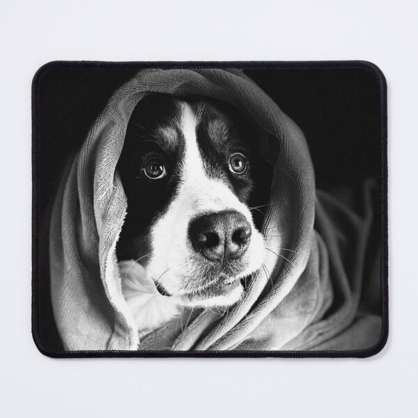 Item preview, This is what spoiled looks like. Bernese Mountain Dog designed and sold by FlippinTurtles.