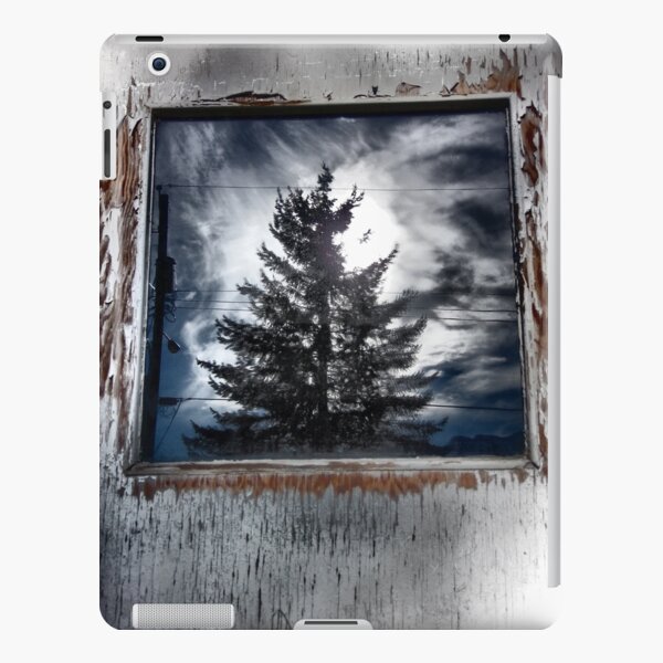 Urban Decay iPad Snap Case