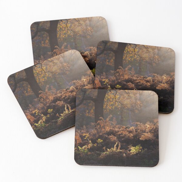 Item preview, Bracken Lit by Morning Light, Richmond Park designed and sold by Graham Prentice.