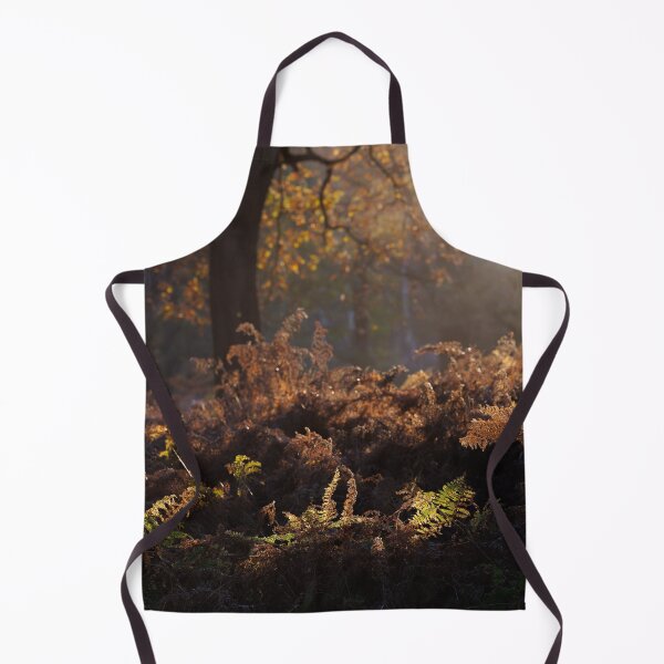 Item preview, Bracken Lit by Morning Light, Richmond Park designed and sold by Graham Prentice.