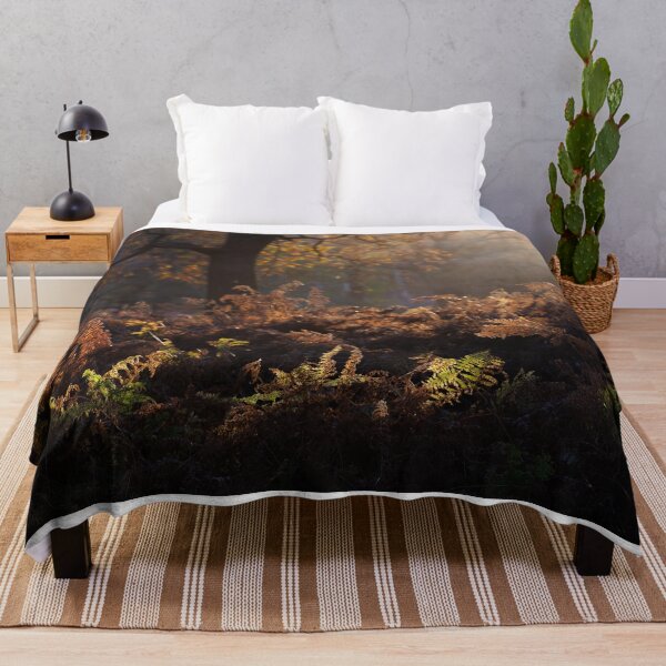 Item preview, Bracken Lit by Morning Light, Richmond Park designed and sold by Graham Prentice.