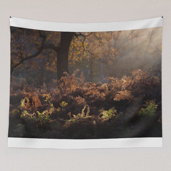 Item preview, Bracken Lit by Morning Light, Richmond Park designed and sold by Graham Prentice.
