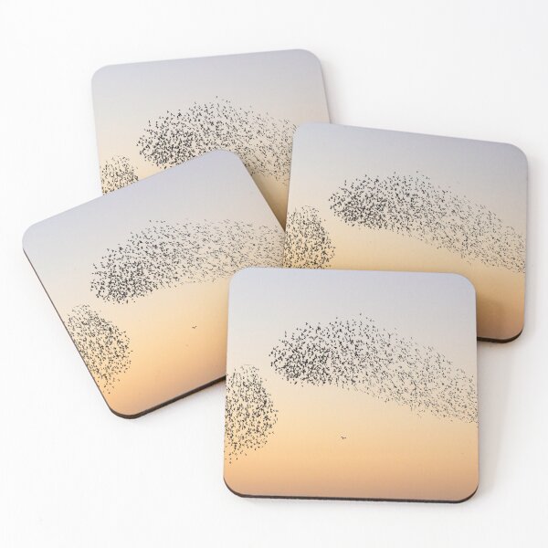 Item preview, Sparrowhawk hunting starlings  designed and sold by GreyFeatherPhot.
