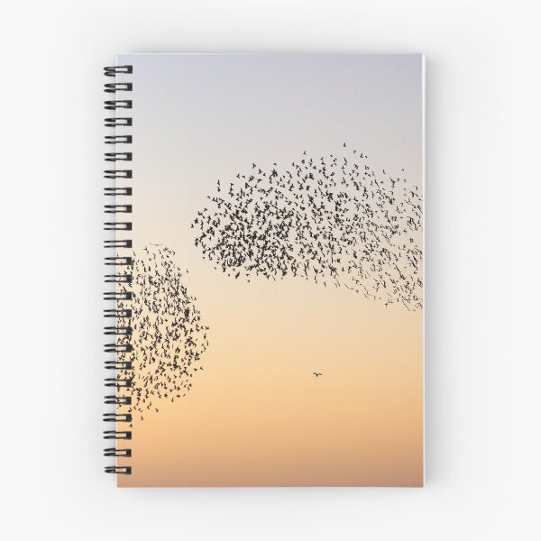 Item preview, Sparrowhawk hunting starlings  designed and sold by GreyFeatherPhot.