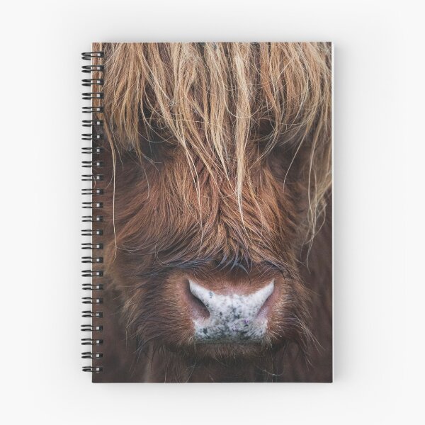 Item preview, hairy Scottish Highland Cattle designed and sold by anass002.