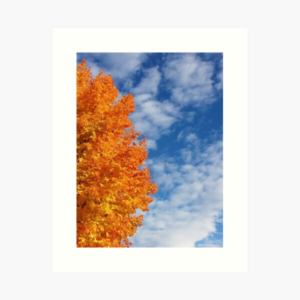 Yellow Against Blue Art Print