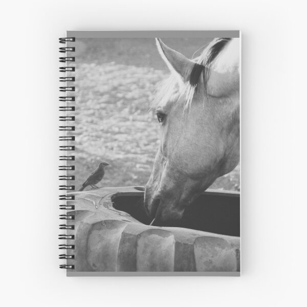Item preview, Horse eating with bird designed and sold by Fiona Parks.