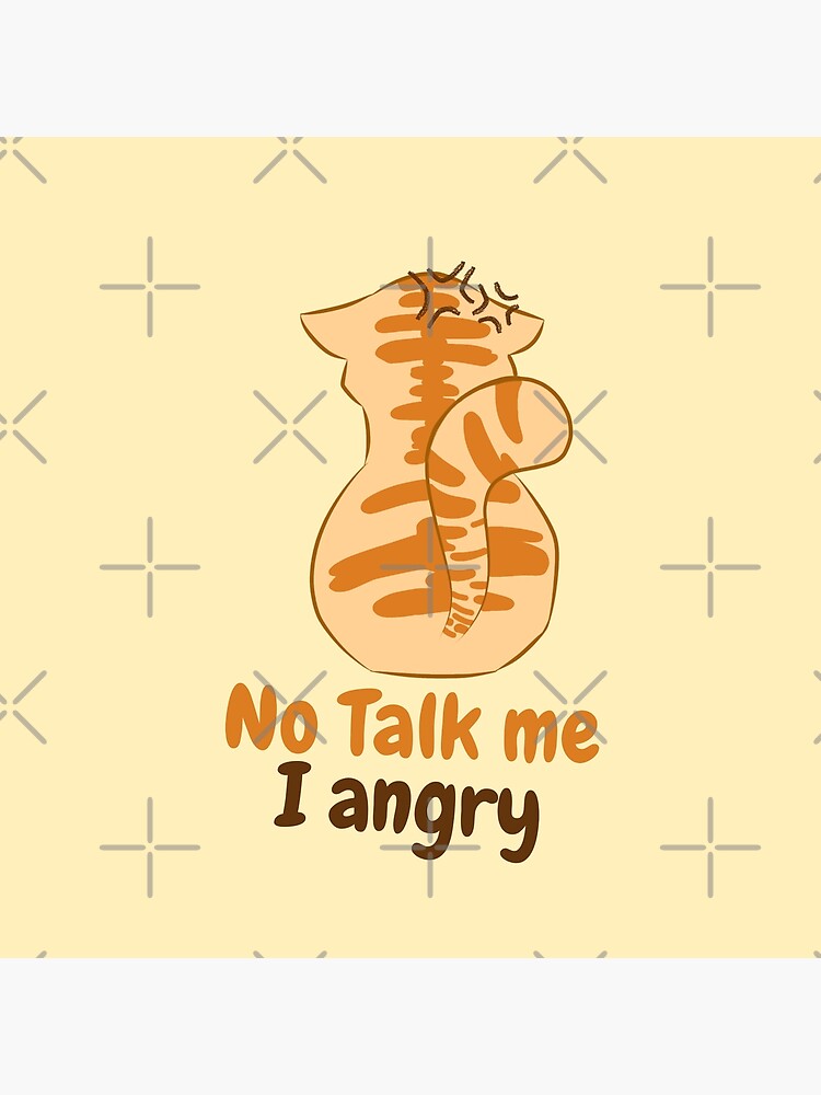 Angry Cat  Me Myself & I